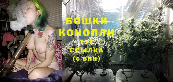 гидра Медногорск